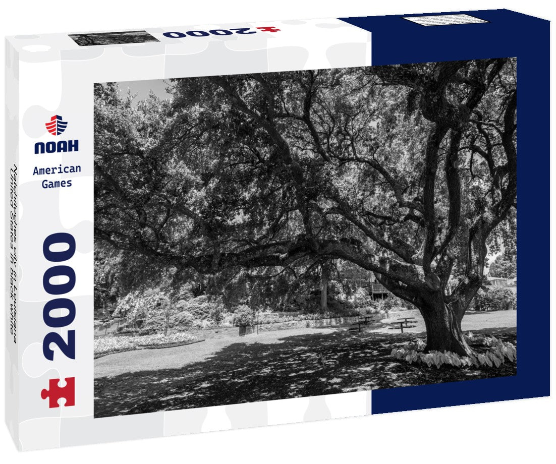Noah Jigsaw Puzzle Natchitoches city in Louisiana, United States in black white 2000 pieces