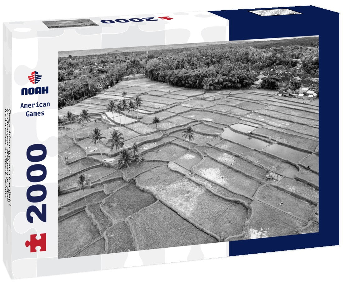 Noah Jigsaw Puzzle Desa Mancingan rice field in Gianyar Regency, Bali, Indonesia in black white 2000 pieces