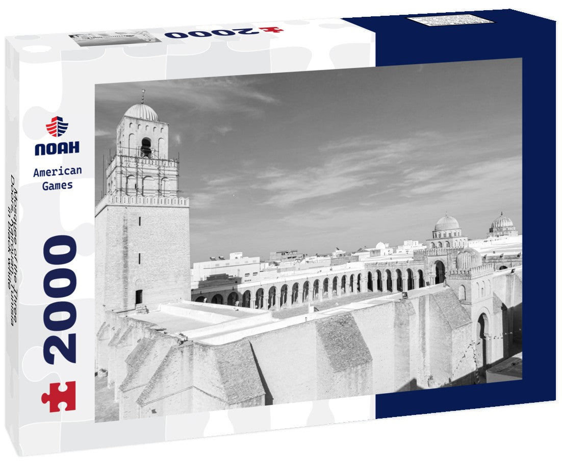 Noah Jigsaw Puzzle Mosquee of the Three Doors, Kairouan, Tunisia in black white 2000 pieces