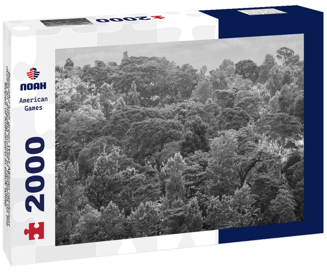 Noah Jigsaw Puzzle Beautiful lush green West African rainforest during an amazing sunset in Tanzania on the slopes of Kilimanjaro in black white 2000 pieces