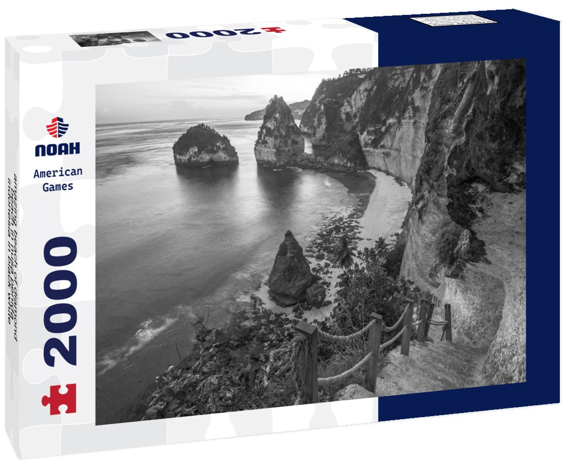 Noah Jigsaw Puzzle amazing beach of diamond beach in nusa penida, indonesia in black white 2000 pieces