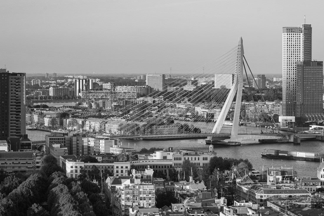 Noah Jigsaw Puzzle View of the Erasmus Bridge from the top of the Euromast television tower in Rotterdam - Futuristic suspension bridge over the Maas in the Netherlands in black white 2000 pieces