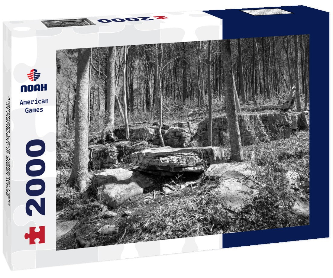 Noah Jigsaw Puzzle Mammoth Cave National Park in Kentucky in black white 2000 pieces