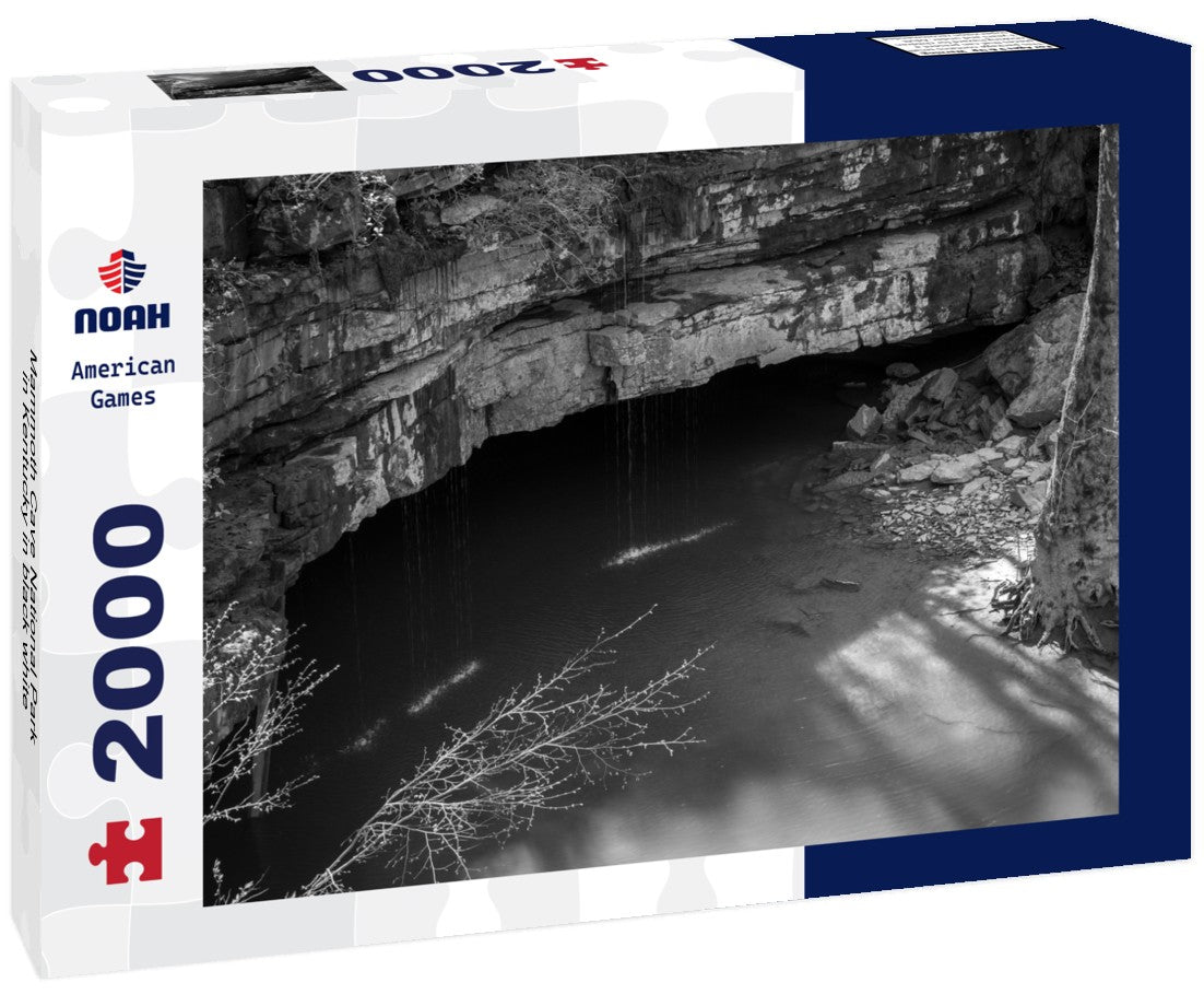 Noah Jigsaw Puzzle Mammoth Cave National Park in Kentucky in black white 2000 pieces