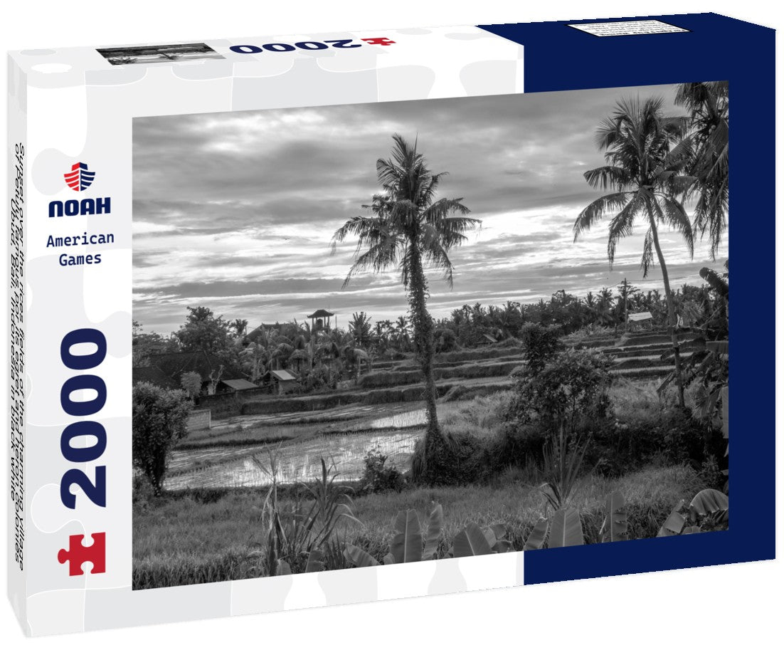 Noah Jigsaw Puzzle Sunset over the rices fields of the charming village of Petulu famous por its egret and heron colonies, Ubud, Bali, Indonesia in black white 2000 pieces