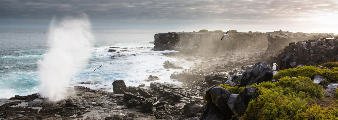 Noah Jigsaw Puzzle Galapagos Islands, Ecuador, Panorama Panorama 1000 Pieces