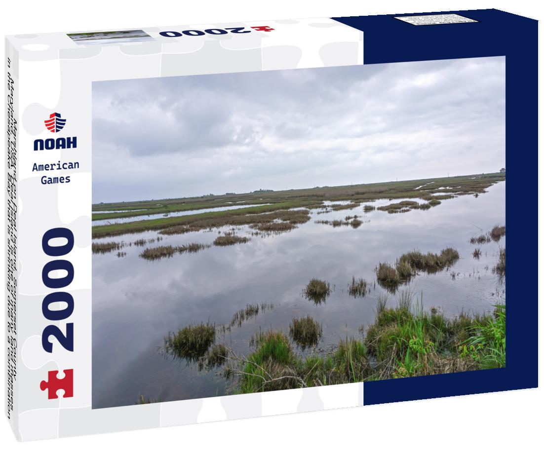Noah Jigsaw Puzzle Marshland on Deal Island, Somerset County, Maryland, USA 2000 pieces