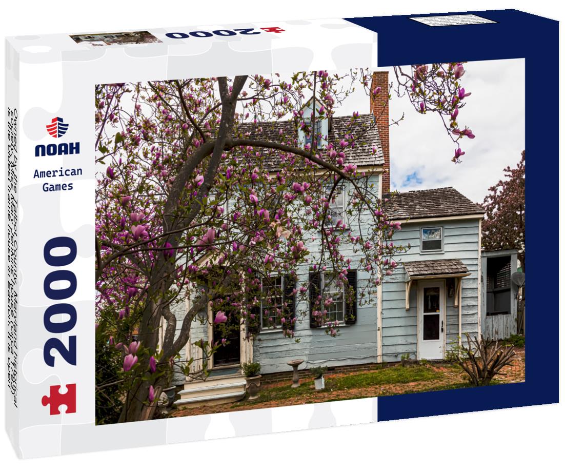 Noah Jigsaw Puzzle Owned by the Talbot County, Maryland 2000 pieces