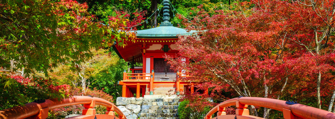 Noah Jigsaw Puzzle Daigoji Temple, Kyoto, Japan, Panorama 1000 Pieces