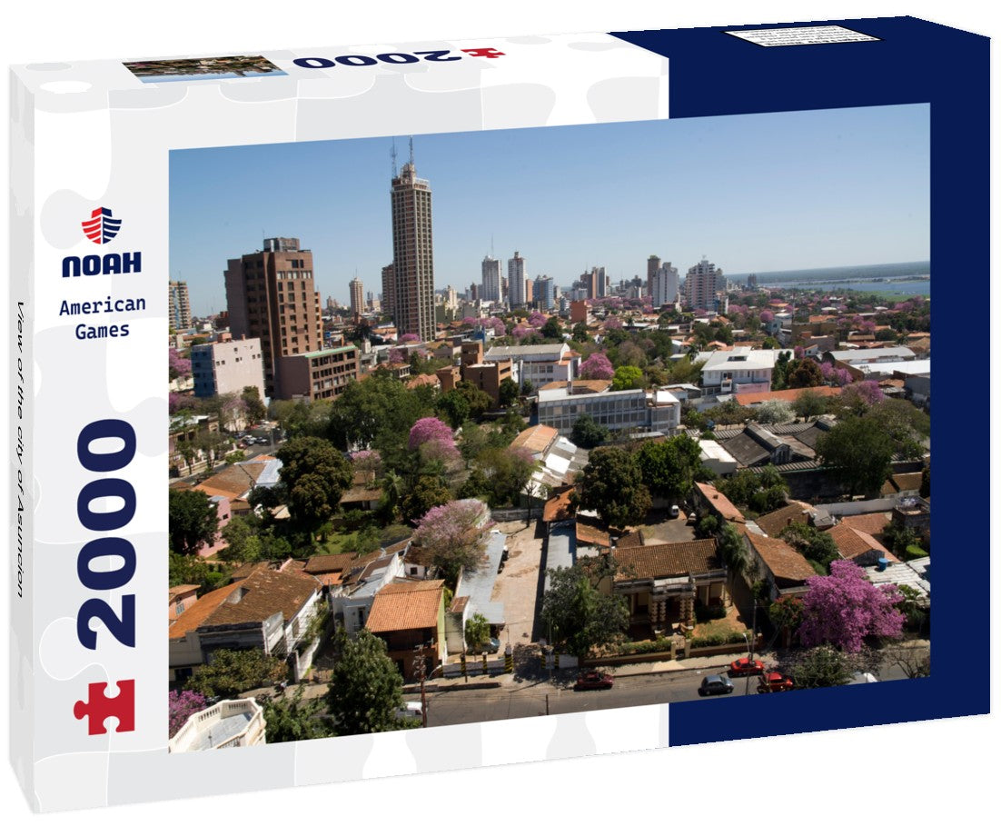 Noah Jigsaw Puzzle View of the city of Asuncion 2000 Pieces