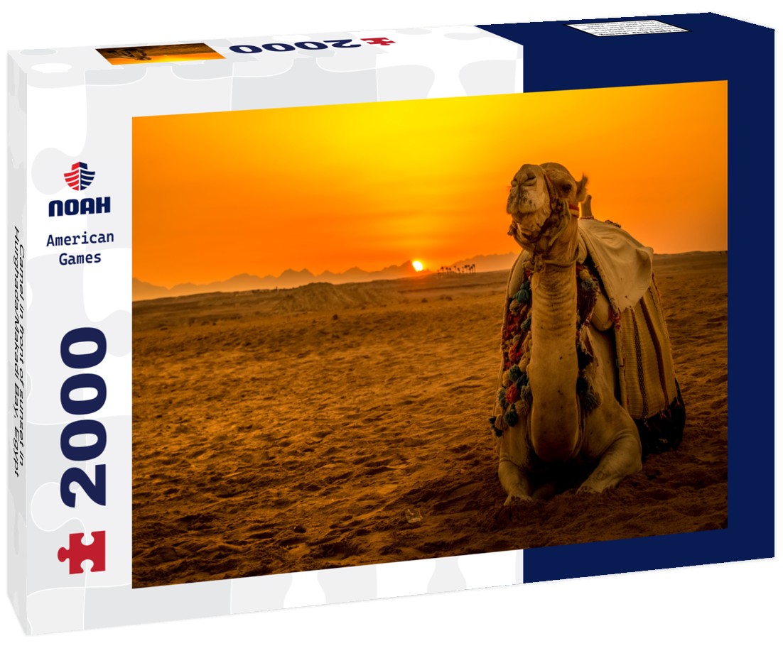 Noah Jigsaw Puzzle Camel in front of sunset in Hurghada/Makadi Bay, Egypt 2000 Pieces