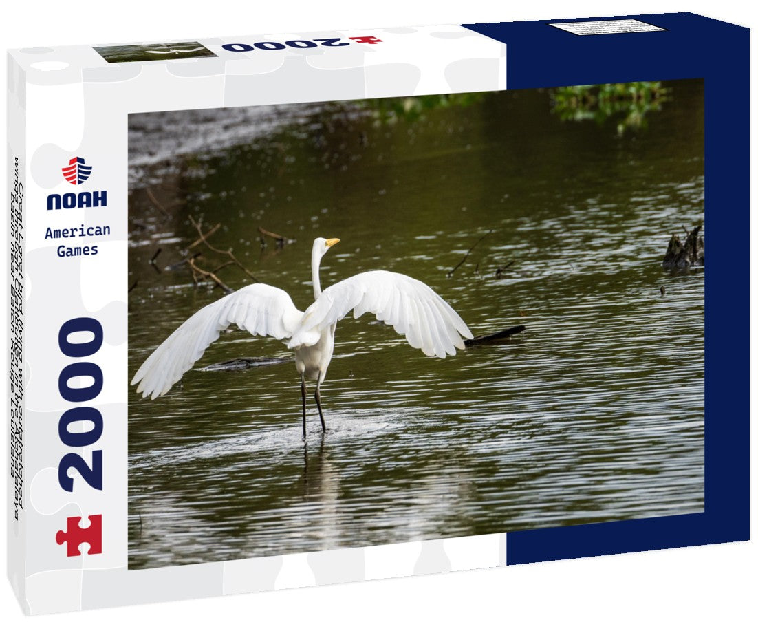Noah Jigsaw Puzzle Great Egret bird flying with outstretched wings through Glattbutten in the Atchafalaya basin near Baton Rouge Louisiana 2000 pieces