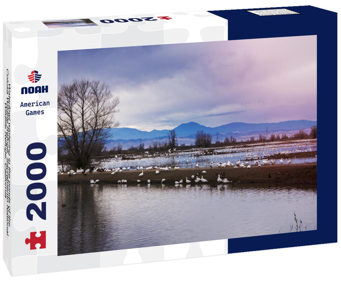 Noah Jigsaw Puzzle Waterfowl wintering in the ponds of the Colusa Wildlife Refuge, Sacramento National Wildlife Refuge, California 2000 pieces