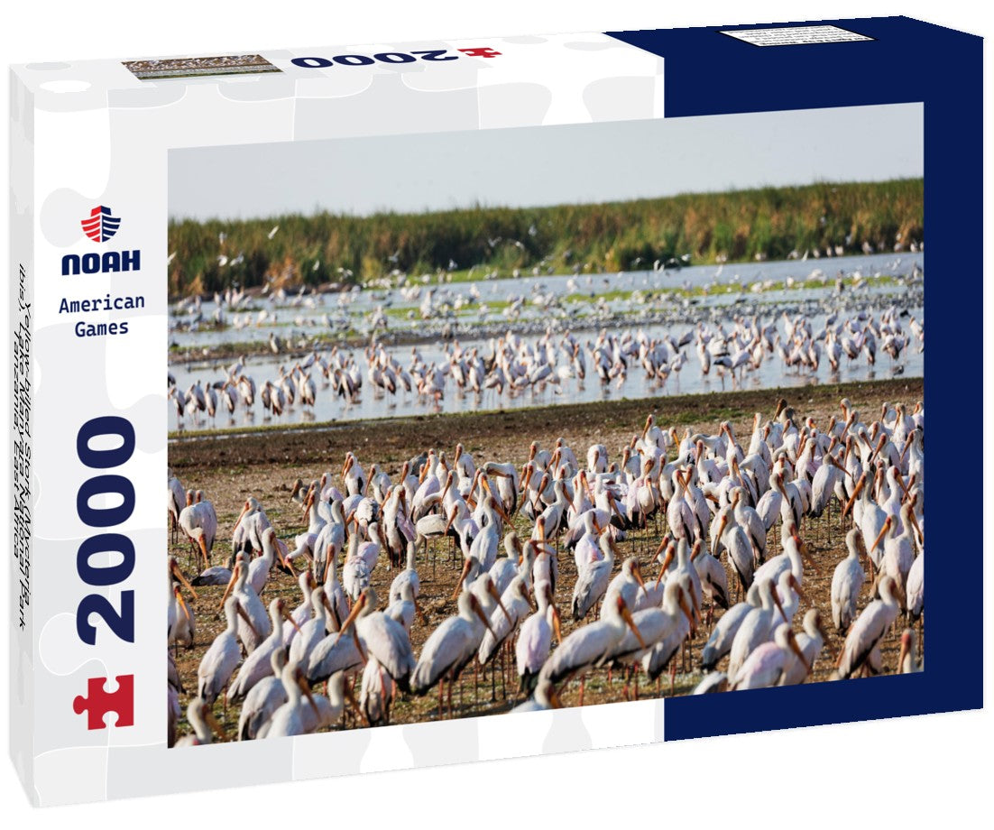 Noah Jigsaw Puzzle Yellow-billed Stork (Mycteria ibis), Lake Manyara National Park, Tanzania, East Africa 2000 pieces