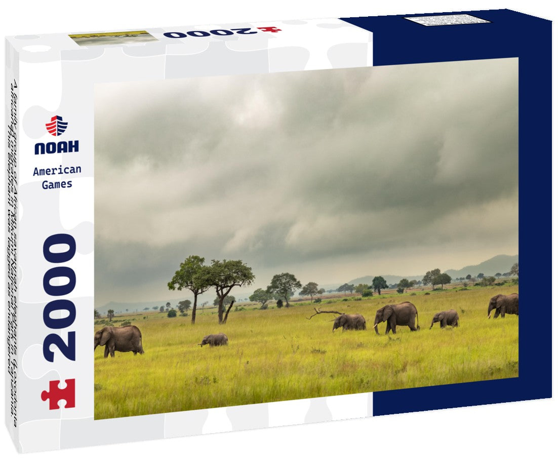 Noah Jigsaw Puzzle A family group of African savannah elephants (Loxodonta africana) migrates in Mikumi National Park in Tanzania. This elephant was tagged as endangered 2000 pieces