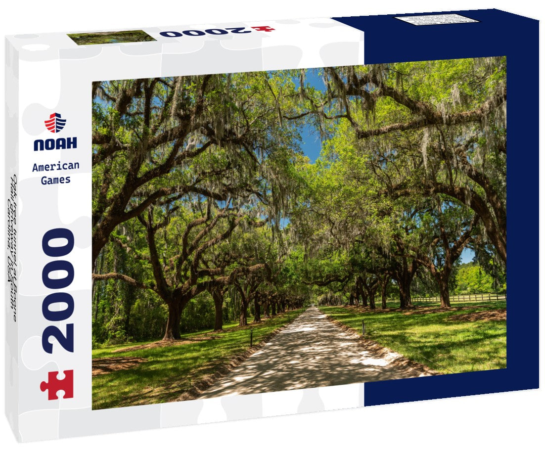 Noah Jigsaw Puzzle Oak tree tunnel at Boone Hall driveway in South Carolina, USA 2000 pieces