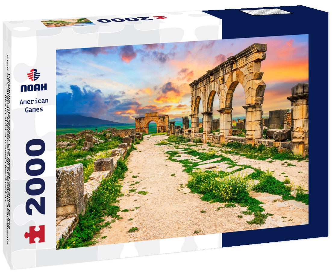 Noah Jigsaw Puzzle Volubilis, Morocco: Old street leading to the Arch of Caracall. Historical city of Roman Mauretania, North Africa travel destination 2000 pieces