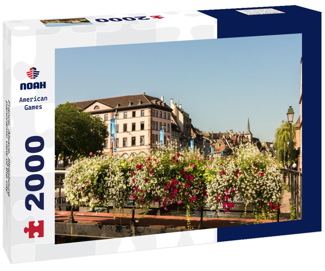 Noah Jigsaw Puzzle France, Alsace, Strasbourg, panoramic view of the city 2000 pieces