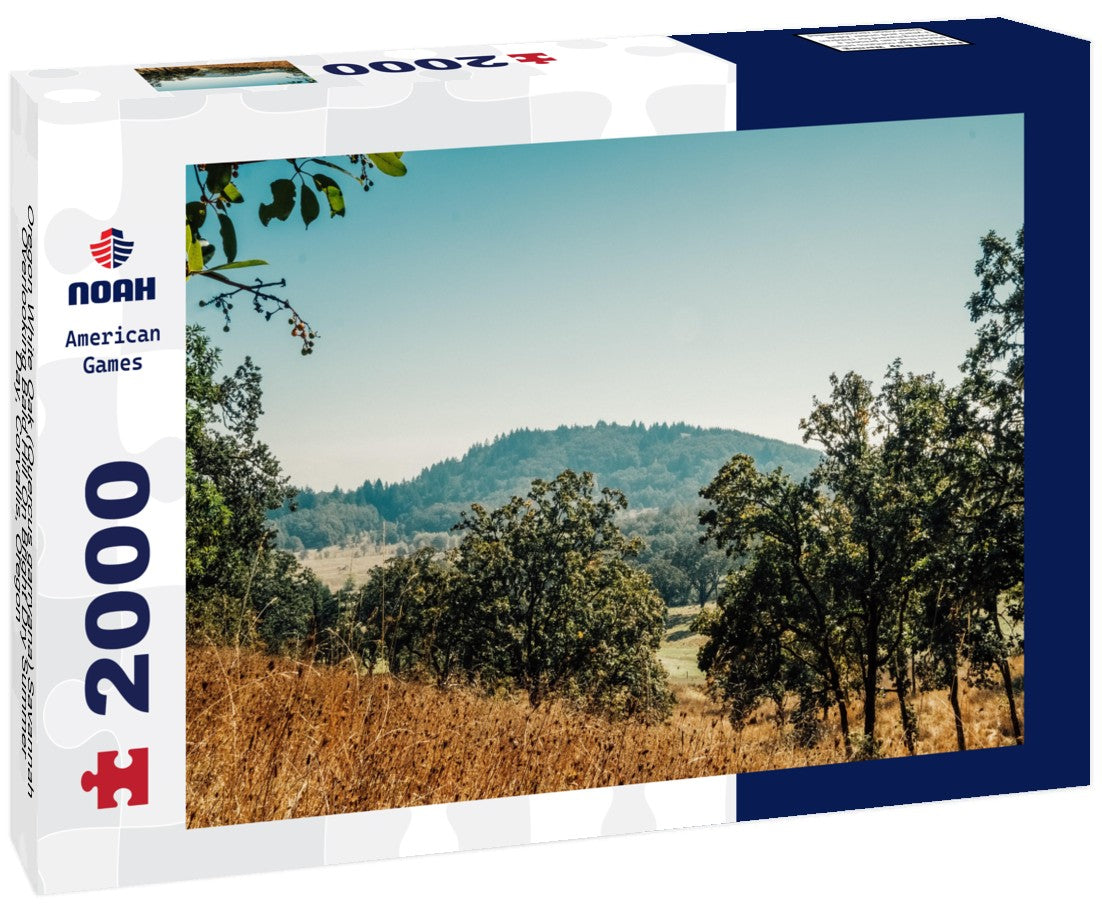 Noah Jigsaw Puzzle Oregon White Oak (Quercus garryana) Savannah Overlooking Bald Hill On Bright Dry Summer Day, Corvallis, Oregon 2000 pieces