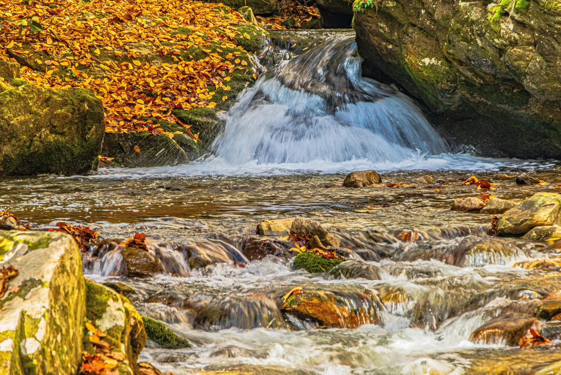 Fall leaves carpet the rocks as the creek flows down river at Rocky Fork Falls in rural Tennessee 2000pc Puzzle