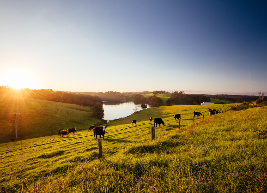 Tilba Tilba Landscape in Australia