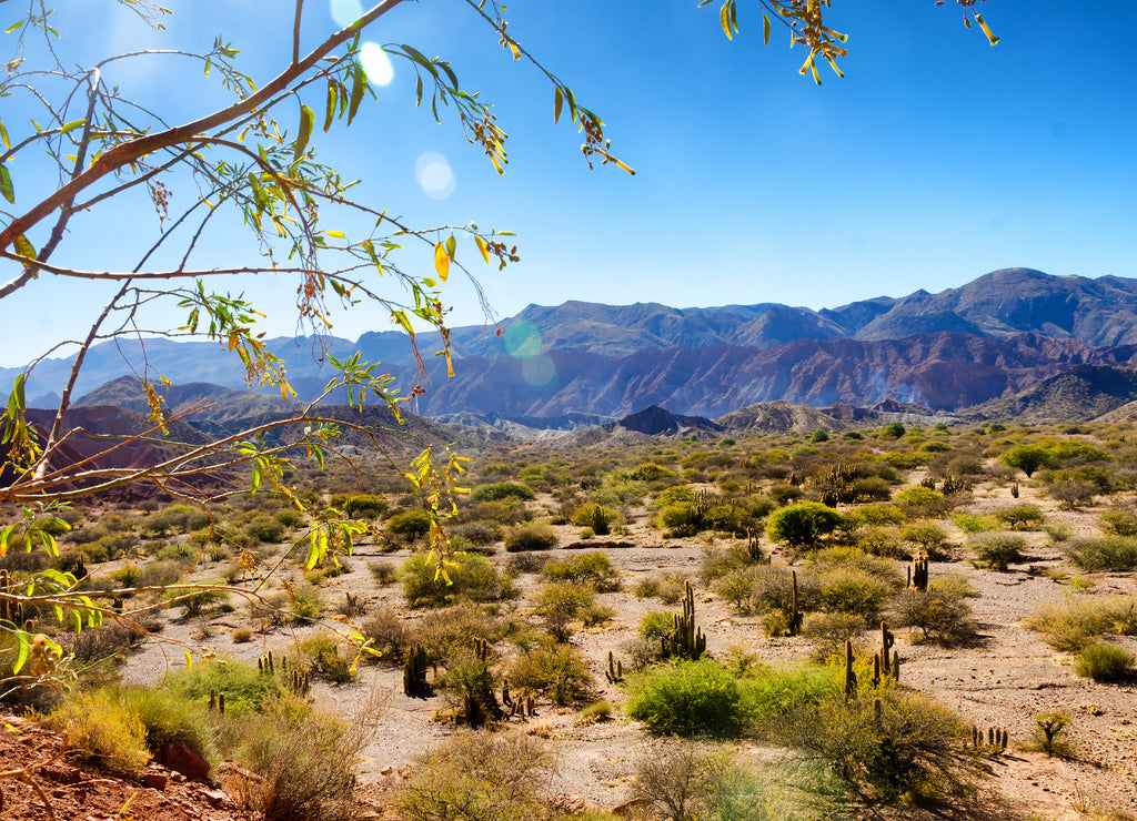 Tupiza, Bolivia Landscape