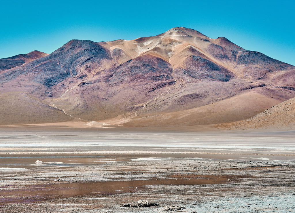 Laguna colorada in Bolivia, Amazing landscape