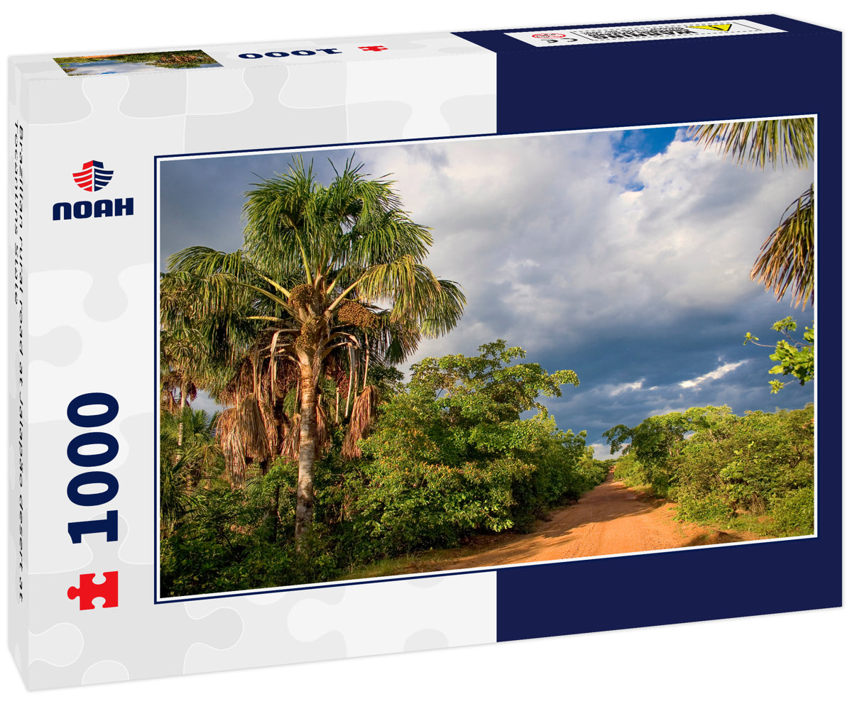 Brazilian rural road at Jalapão desert at Tocantins State
