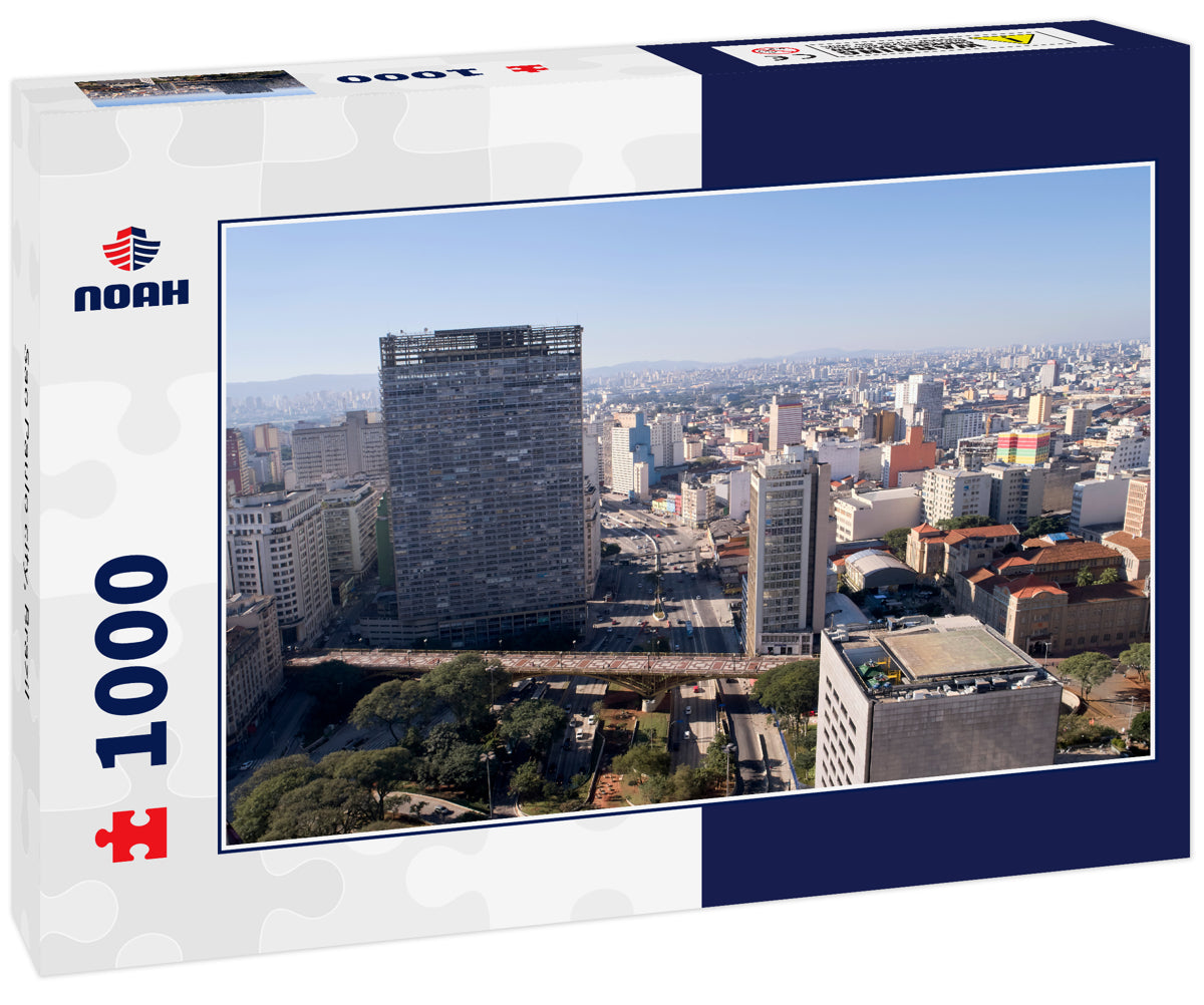 Sao Paulo city, Brazil