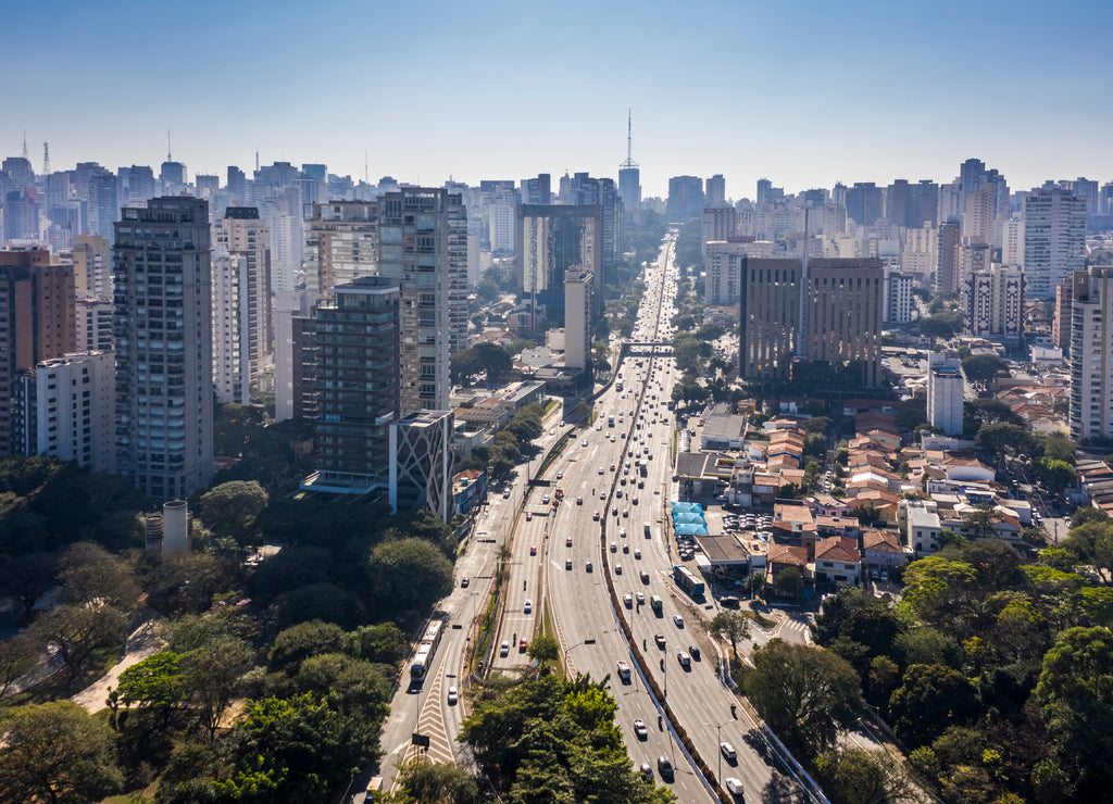 Famous avenue in Sao Paulo, Brazil