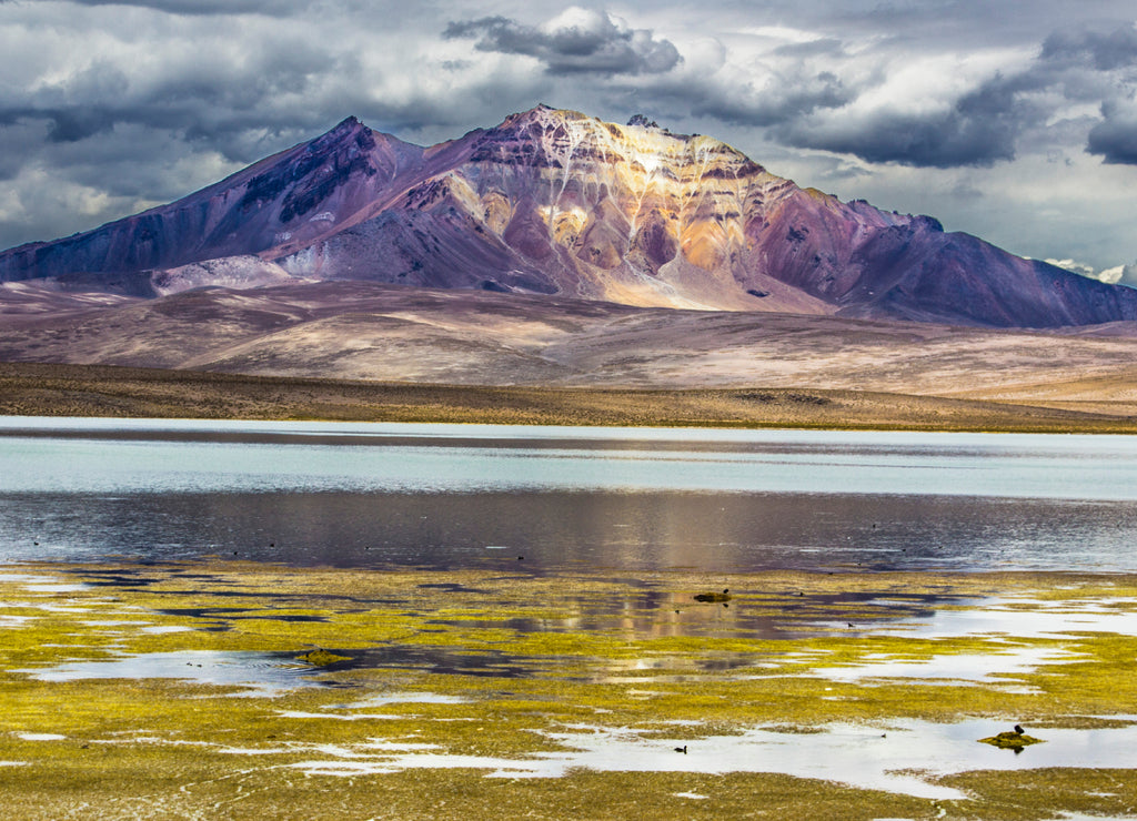 Chungara Lake, dominated by Parinacota Volcano. A panoramic view of the chilean "altiplano" inside the Andes mountains
