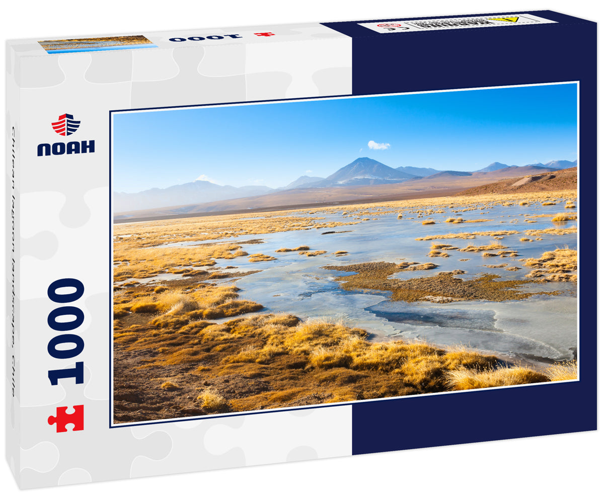 Chilean lagoon landscape, Chile