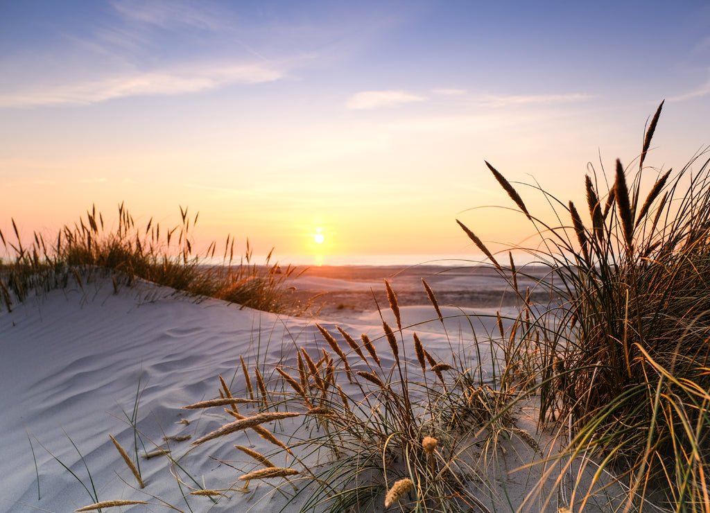 Gorgeous Sunset on the Coast of northern Jutland, Denmark, Europe