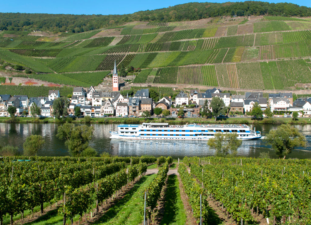Germany, Rhineland-Palatinate, Mosel valley, Zell