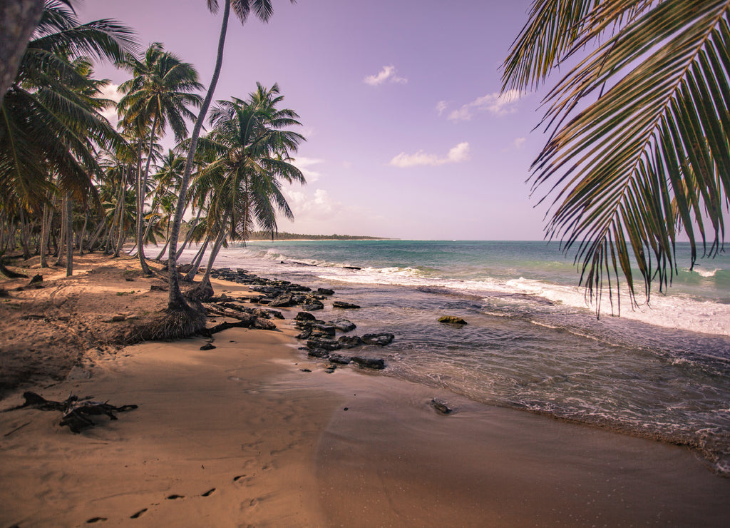 Playa Limon in Dominican Republic