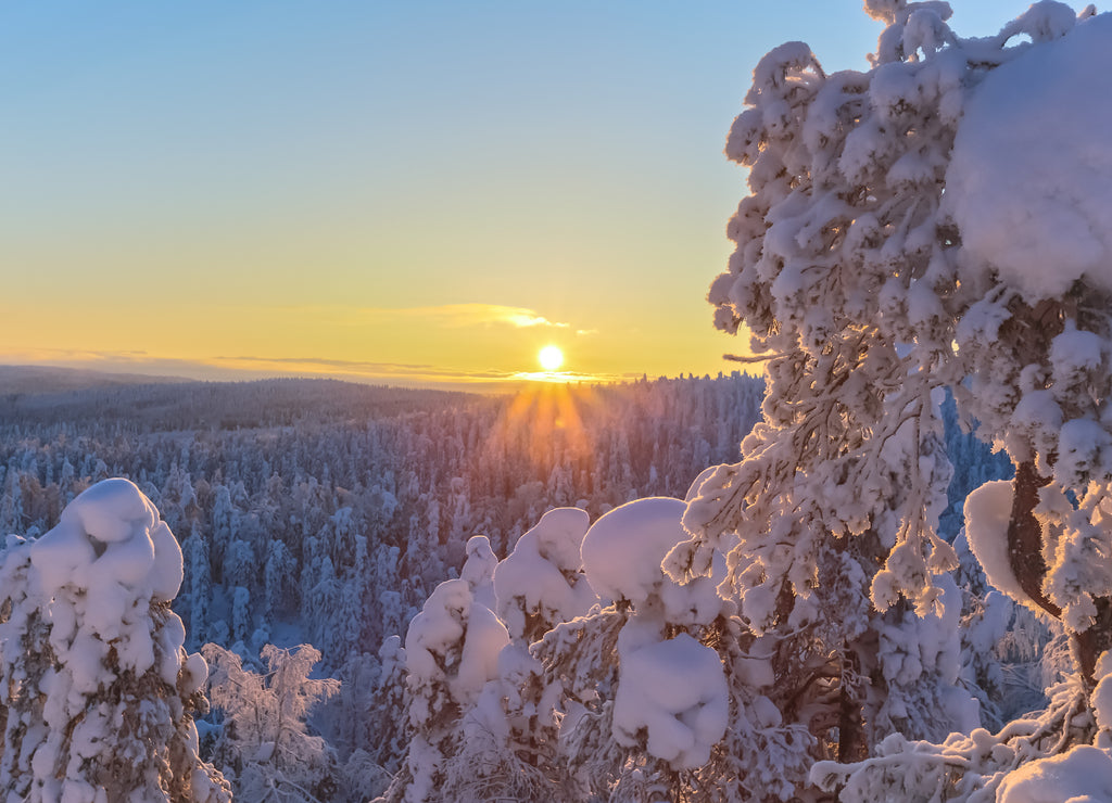 Winter landscape from Sotkamo, Finland