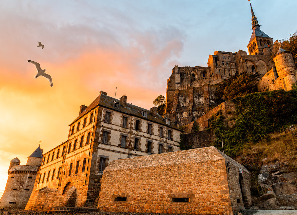 Seagulls flying over dramatic sunset in Mont Saint-Michel
