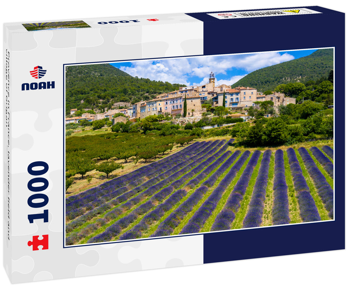 Provence in France, lavender field and village of Grigan