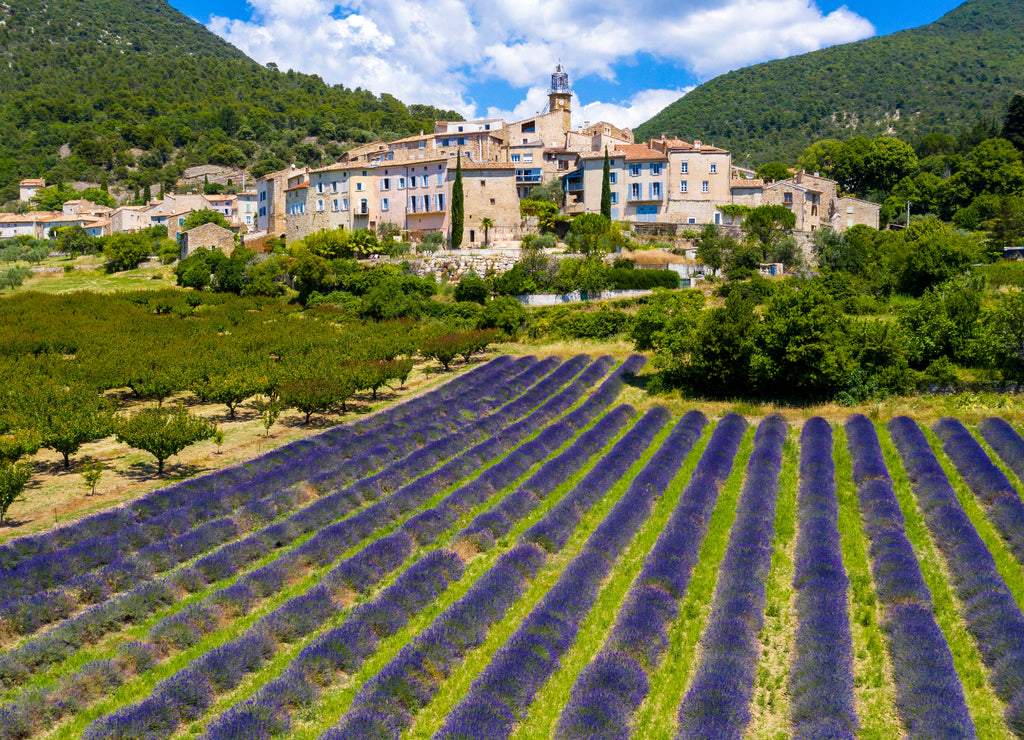 Provence in France, lavender field and village of Grigan