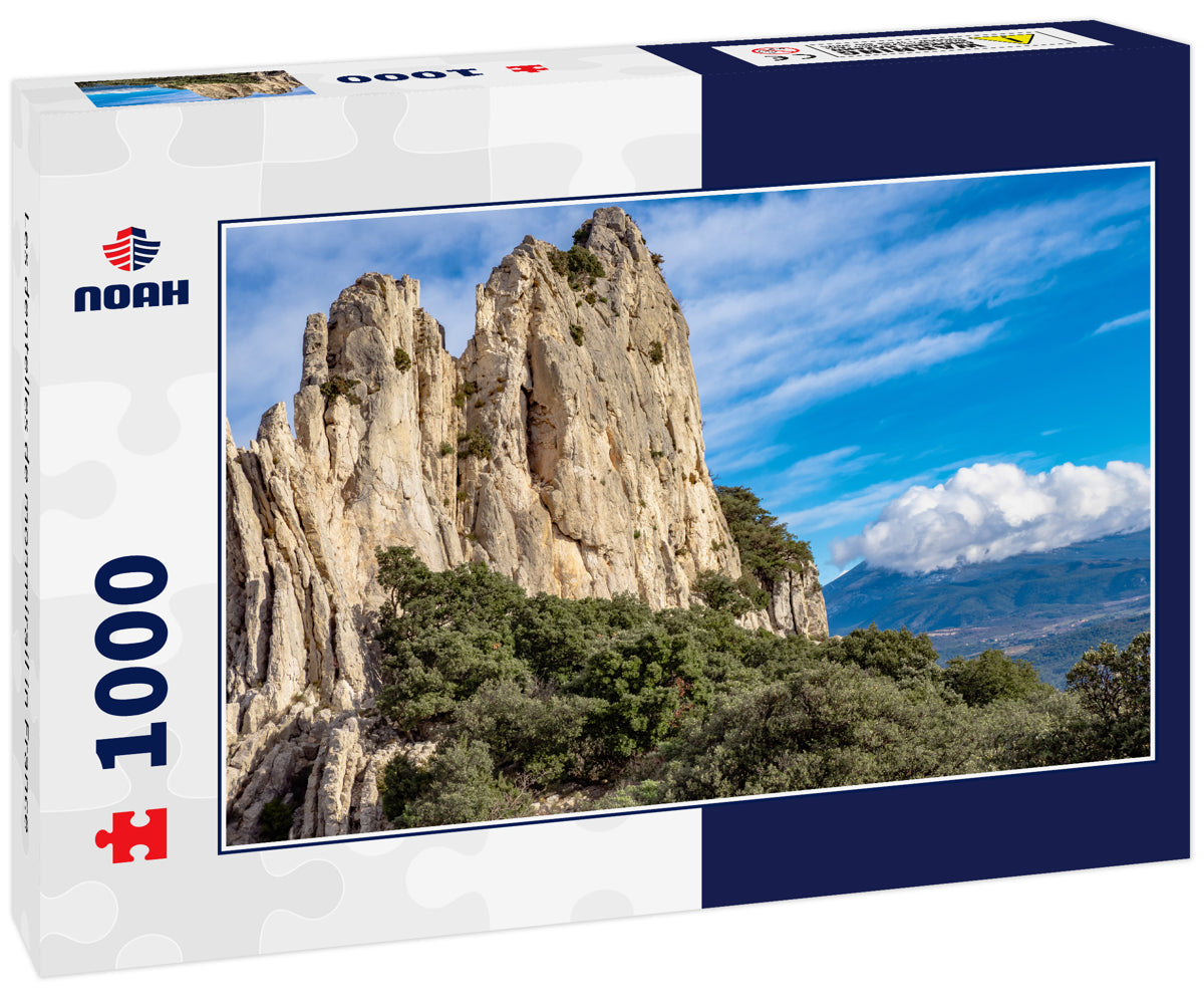 Les dentelles de monmirail in France