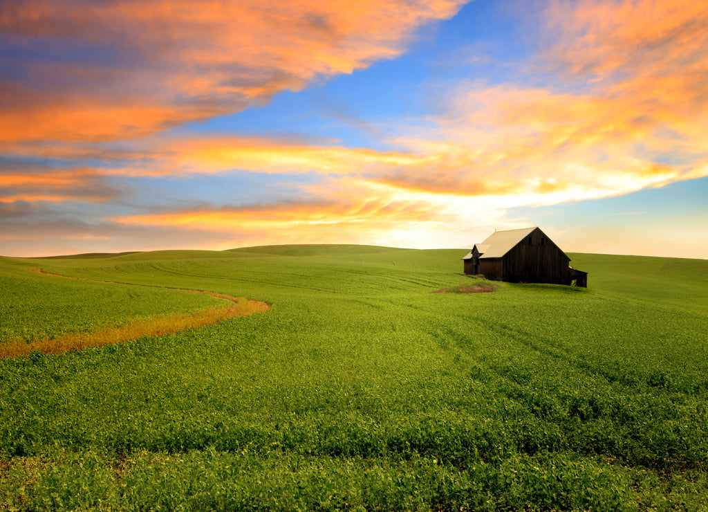 Scenic landscape in Rural Washington state