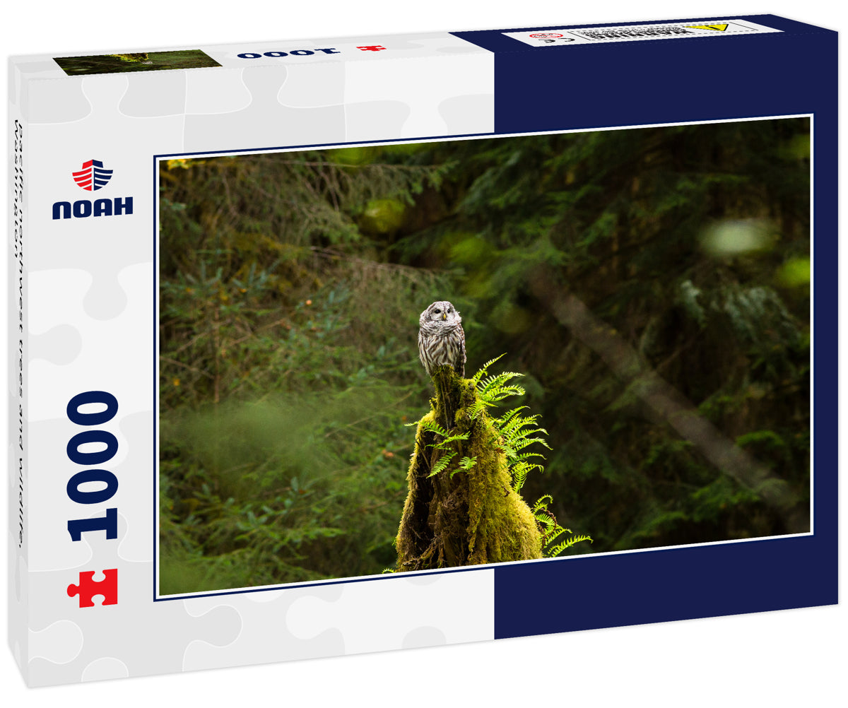pacific northwest trees and wildlife, Washington