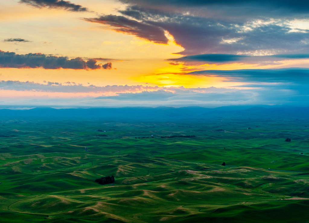 Beautiful and Dramatic Palouse, Washington, Summer Sunrise.The rolling hills of the Palouse area of eastern Washington as seen from the famous Steptoe Butte State Park-a photographic paradise