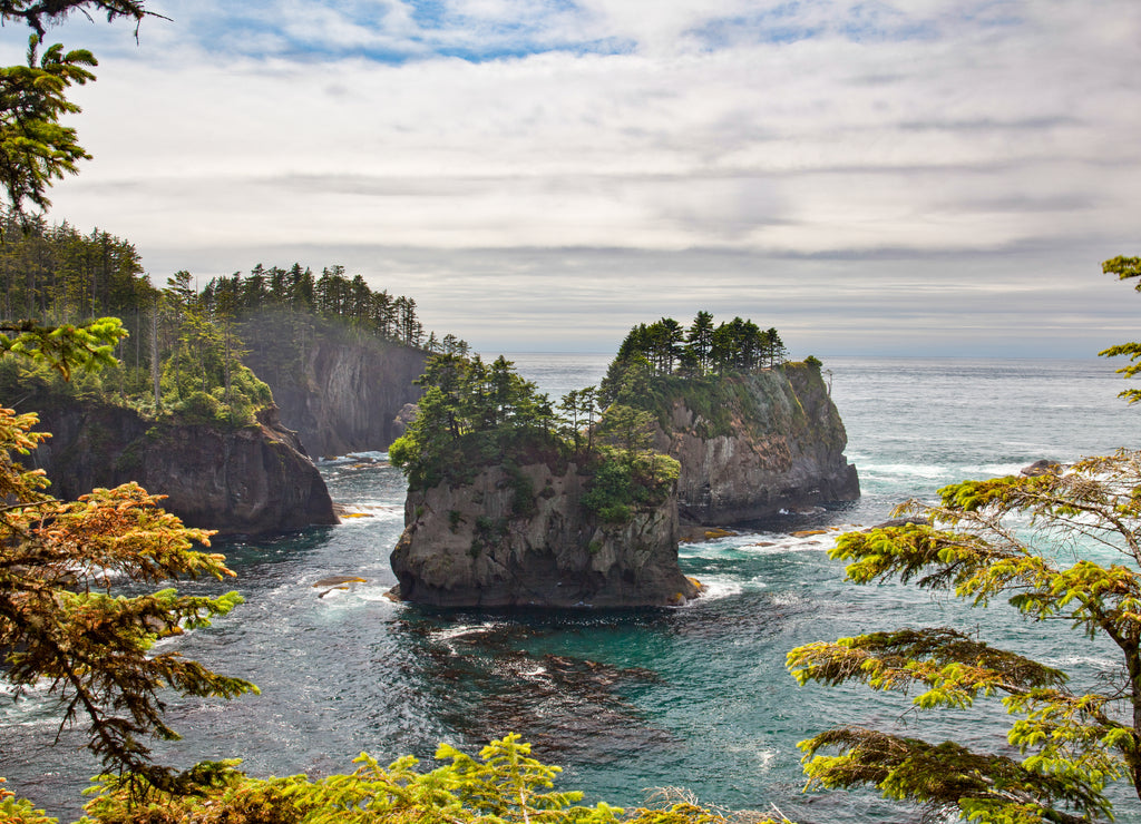 Sea Stacks off of Cape Flattery, Makah Reservation, Olympic National Park, Washington, USA
