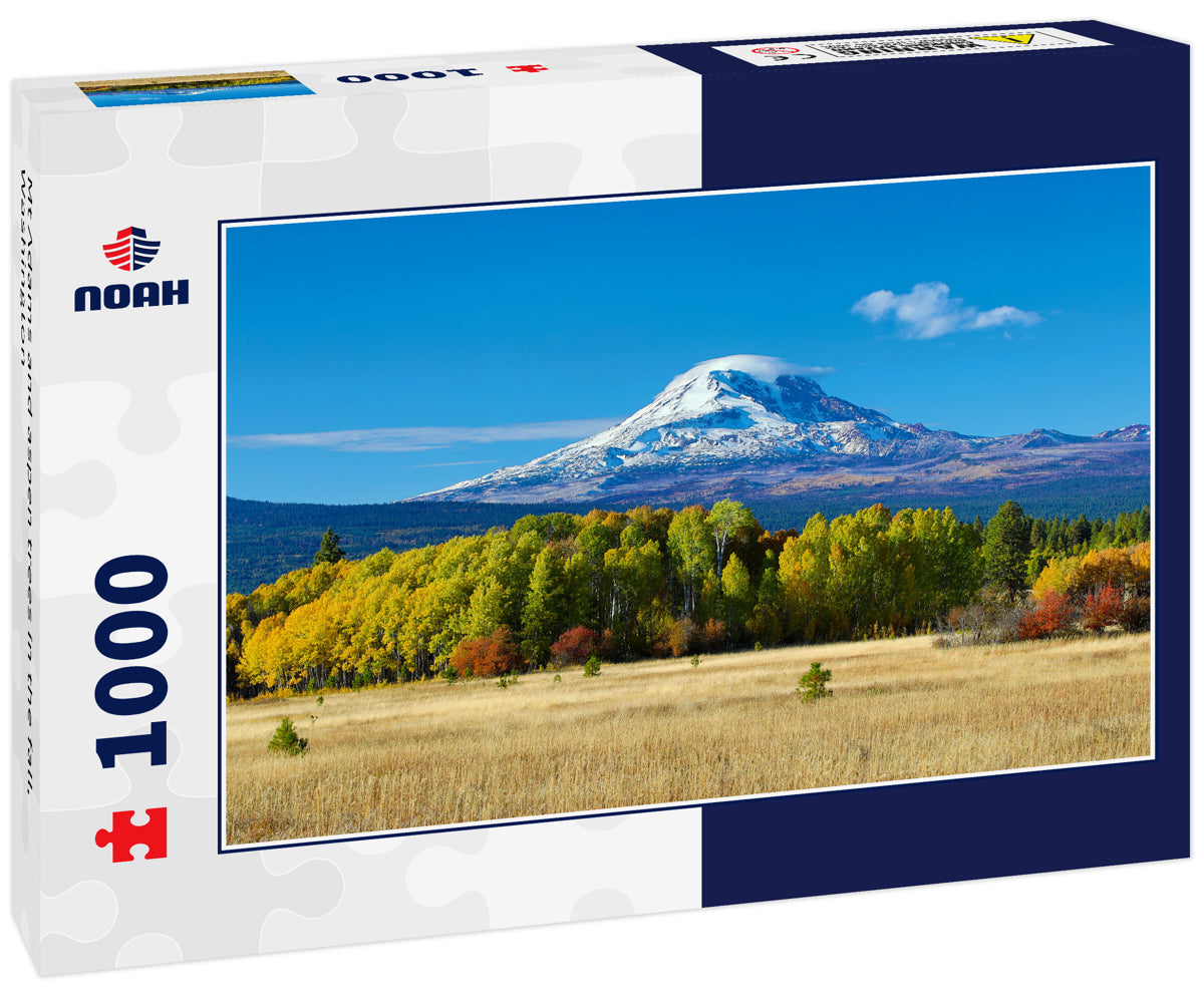 Mt Adams and aspen trees in the fall, Washington