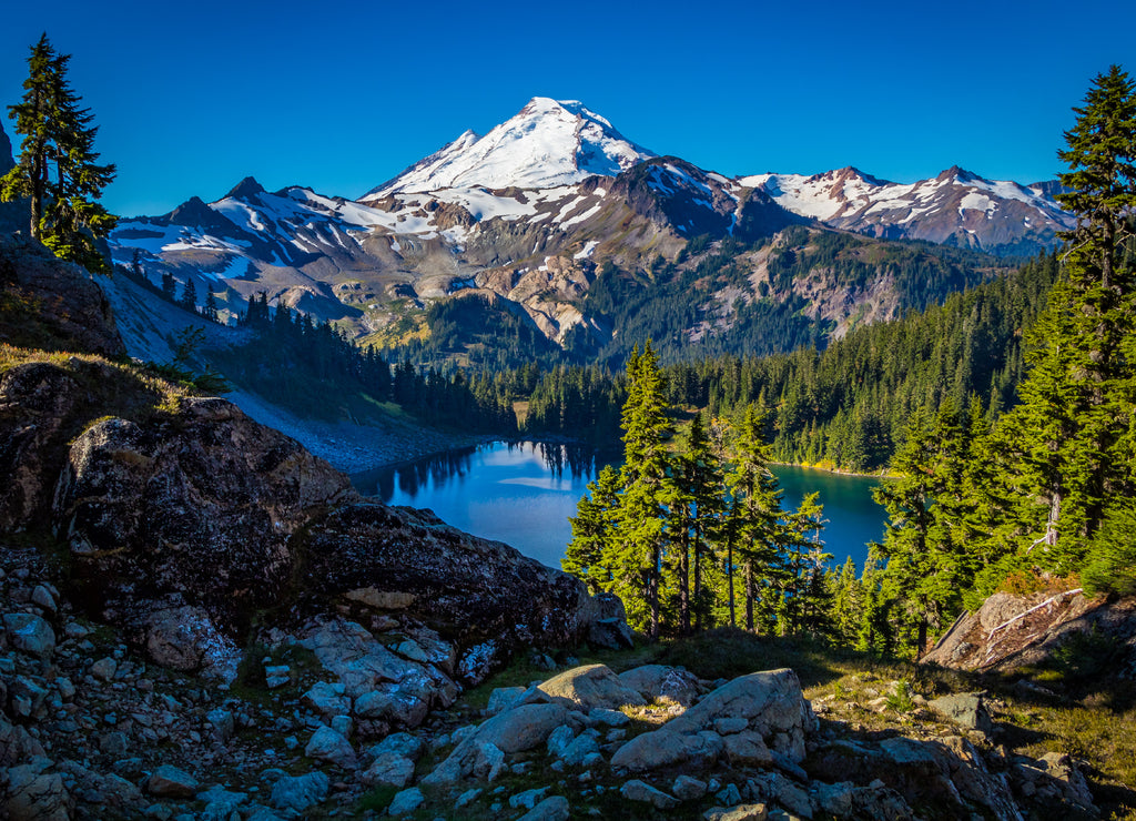 Mt. Baker Wilderness (Washington)