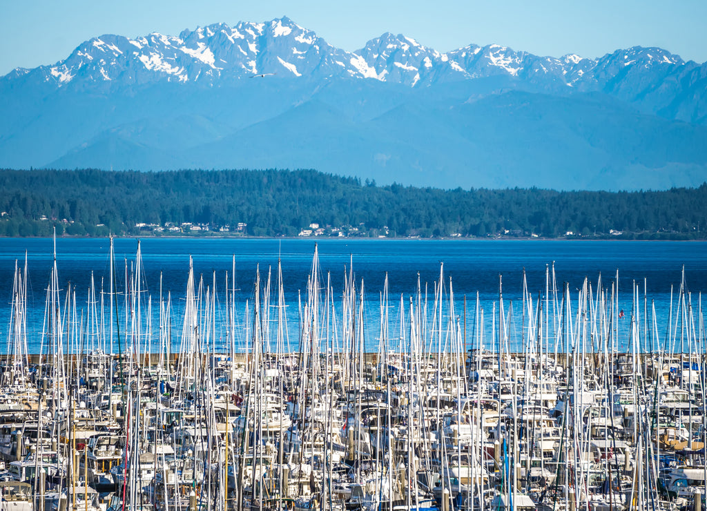 Olympic mountains and boat marina in puget sound Washington state