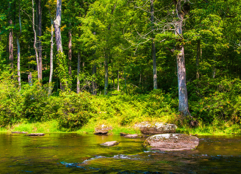 Small cascades and rocks in Gunpowder Falls, Baltimore County, Maryland