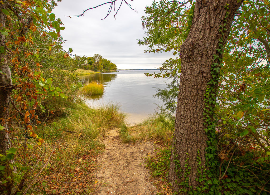 path to the patuxent river in calvert county southern maryland usa