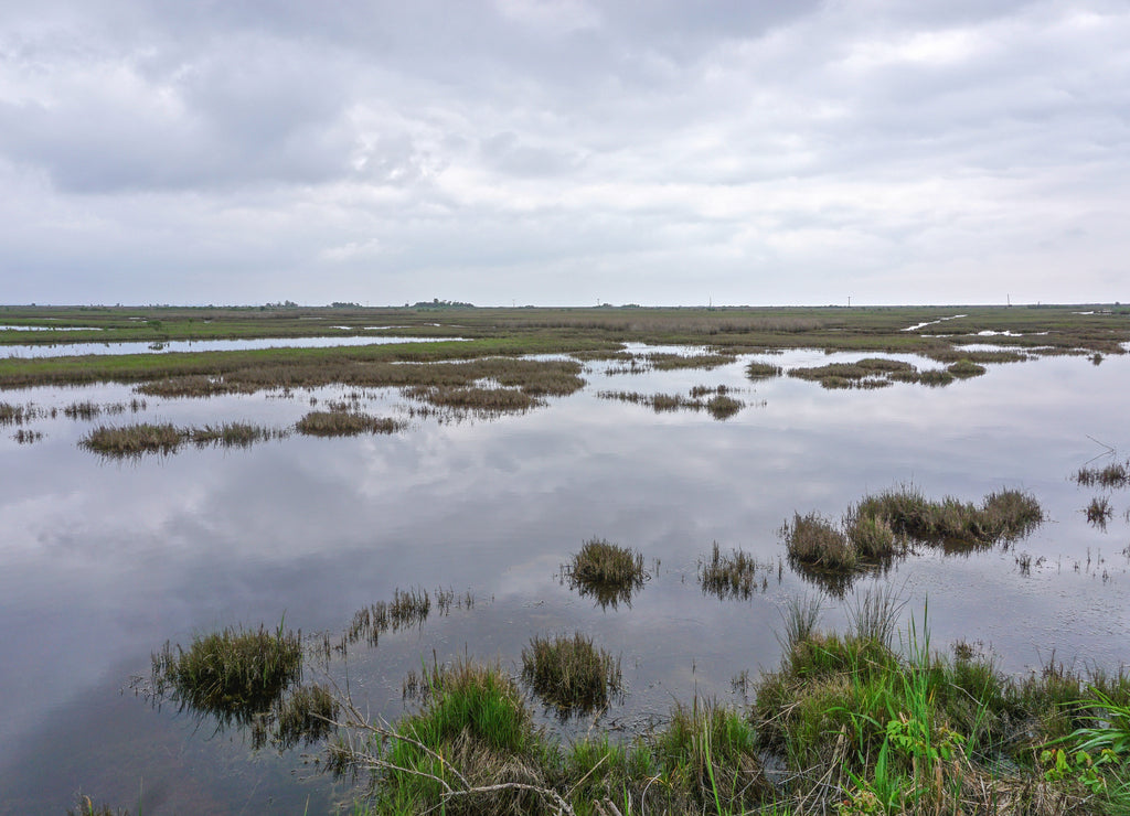 Marshland on Deal Island, Somerset County, Maryland, USA. Deal Island is one of many land masses in the Chesapeake Bay that is shrinking due to a combination of its low elevation and storm erosion